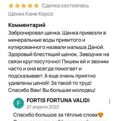 Отзывы. ПИТОМНИК СОБАК ПОРОДЫ АМЕРИКАНСКИЙ БУЛЛИ