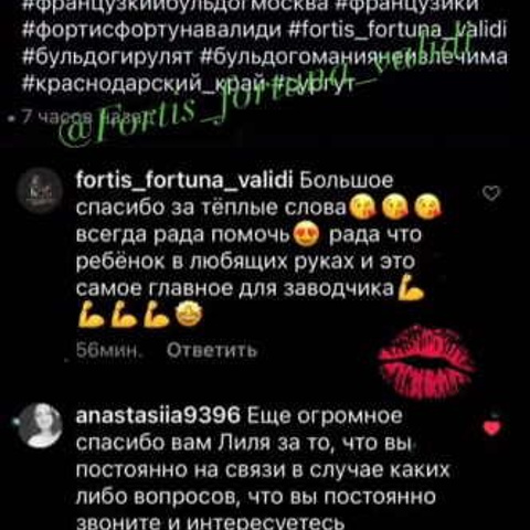 Отзывы. ПИТОМНИК СОБАК ПОРОДЫ АМЕРИКАНСКИЙ БУЛЛИ