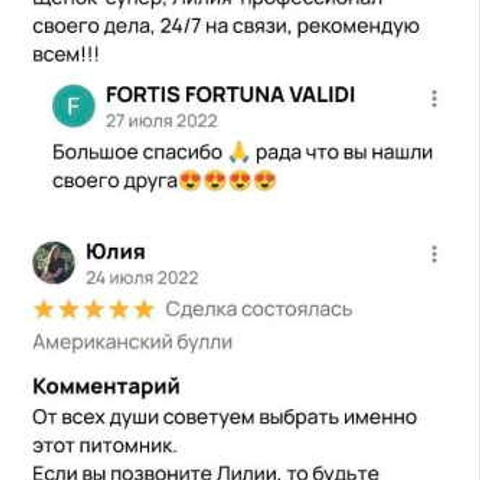 Отзывы. ПИТОМНИК СОБАК ПОРОДЫ АМЕРИКАНСКИЙ БУЛЛИ