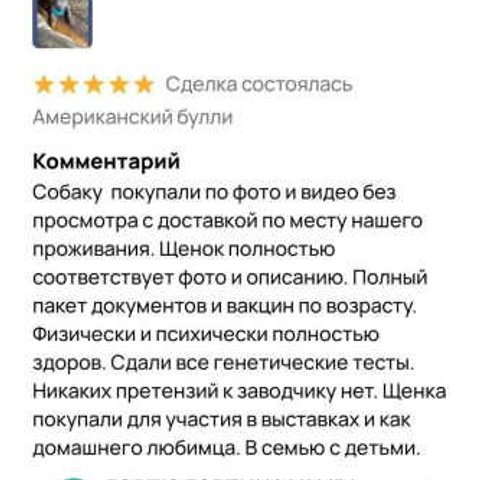 Отзывы. ПИТОМНИК СОБАК ПОРОДЫ АМЕРИКАНСКИЙ БУЛЛИ