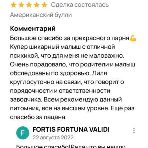 Отзывы. ПИТОМНИК СОБАК ПОРОДЫ АМЕРИКАНСКИЙ БУЛЛИ