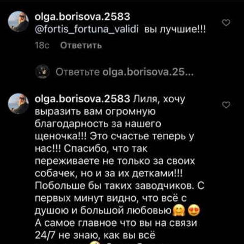 Отзывы. ПИТОМНИК СОБАК ПОРОДЫ АМЕРИКАНСКИЙ БУЛЛИ