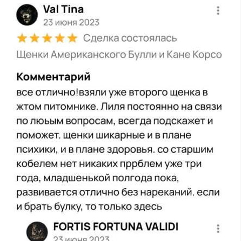 Отзывы. ПИТОМНИК СОБАК ПОРОДЫ АМЕРИКАНСКИЙ БУЛЛИ