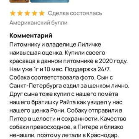 Отзывы. ПИТОМНИК СОБАК ПОРОДЫ АМЕРИКАНСКИЙ БУЛЛИ