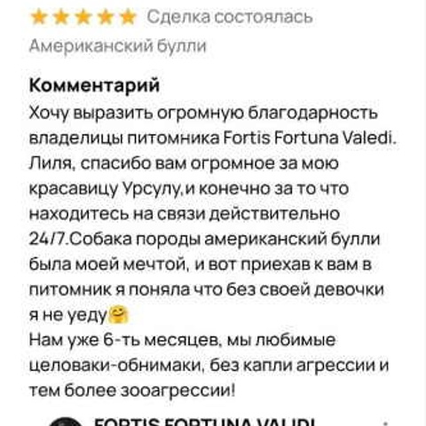 Отзывы. ПИТОМНИК СОБАК ПОРОДЫ АМЕРИКАНСКИЙ БУЛЛИ