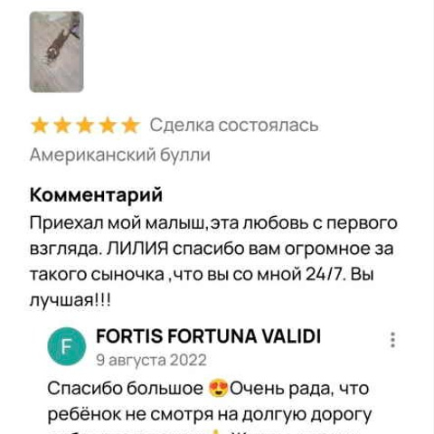 Отзывы. ПИТОМНИК СОБАК ПОРОДЫ АМЕРИКАНСКИЙ БУЛЛИ