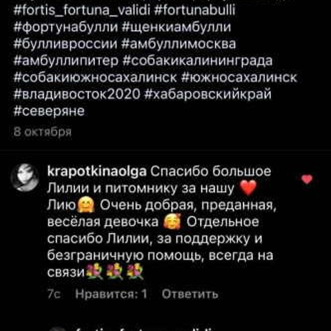 Отзывы. ПИТОМНИК СОБАК ПОРОДЫ АМЕРИКАНСКИЙ БУЛЛИ