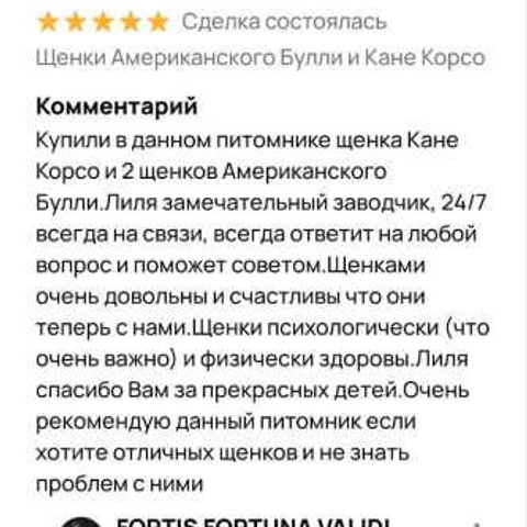 Отзывы. ПИТОМНИК СОБАК ПОРОДЫ АМЕРИКАНСКИЙ БУЛЛИ