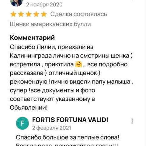 Отзывы. ПИТОМНИК СОБАК ПОРОДЫ АМЕРИКАНСКИЙ БУЛЛИ