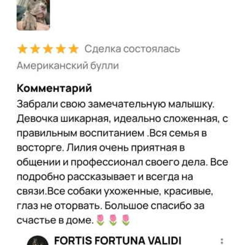 Отзывы. ПИТОМНИК СОБАК ПОРОДЫ АМЕРИКАНСКИЙ БУЛЛИ