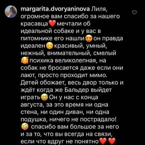 Отзывы. ПИТОМНИК СОБАК ПОРОДЫ АМЕРИКАНСКИЙ БУЛЛИ