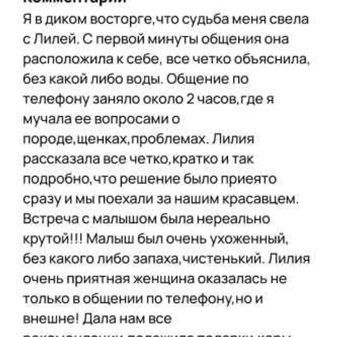 Отзывы. ПИТОМНИК СОБАК ПОРОДЫ АМЕРИКАНСКИЙ БУЛЛИ