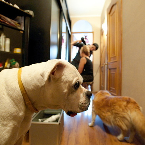 Стас и Елена. Свадебный фотограф Москва Альберт Хаиров