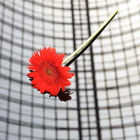 Сергей и Анна. Свадебный фотограф Москва Альберт Хаиров