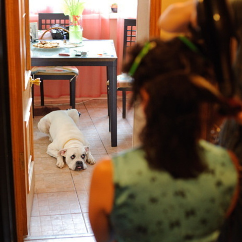 Стас и Елена. Свадебный фотограф Москва Альберт Хаиров