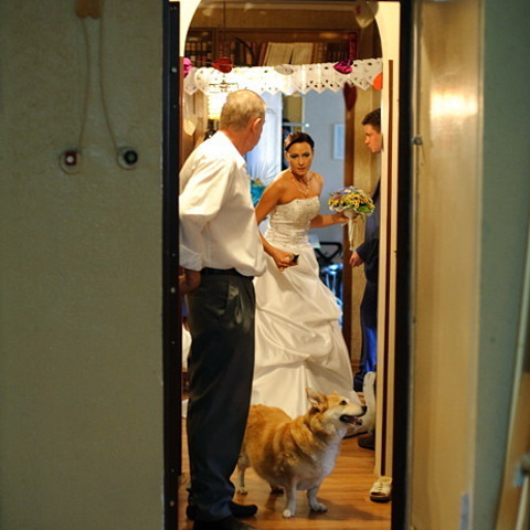 Стас и Елена. Свадебный фотограф Москва Альберт Хаиров