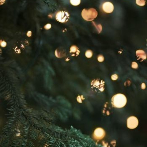 Отзывы. Фотограф в Красноярске