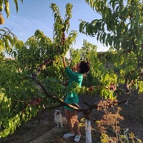 Отзывы. Зажигательная ведущая на ваш праздник в Санкт-Петербурге