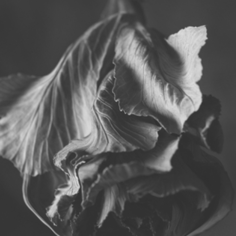 Журнал о современном искусстве