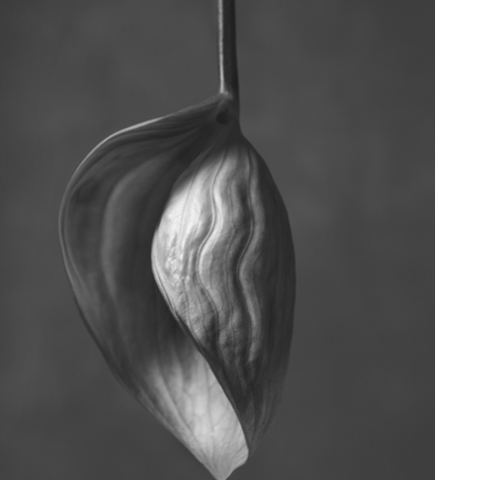 Журнал о современном искусстве