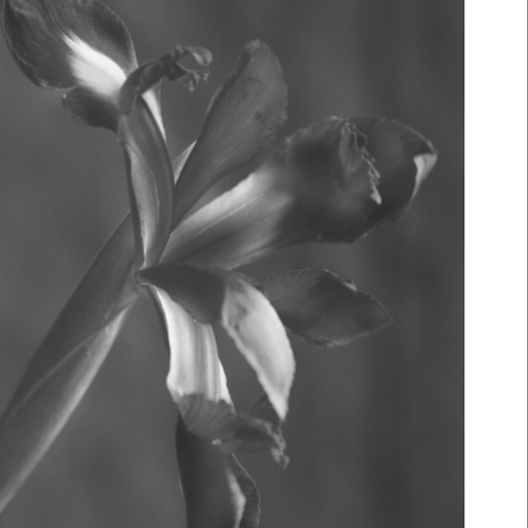 Журнал о современном искусстве