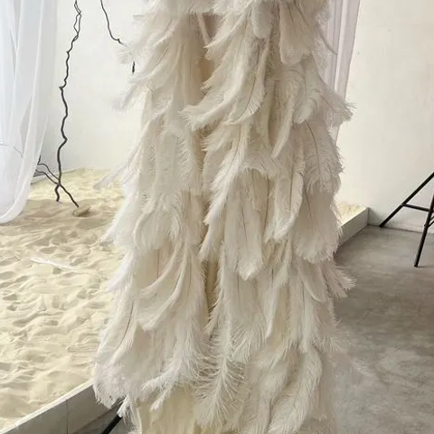 Перья / Оранжерея / Ангел