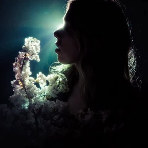 Фотопроект Отражение