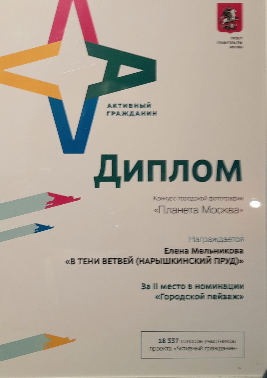 Мои достижения. Репортажный, архитектурный, театральный и файн-арт фотограф Лена Мельникова в Москве