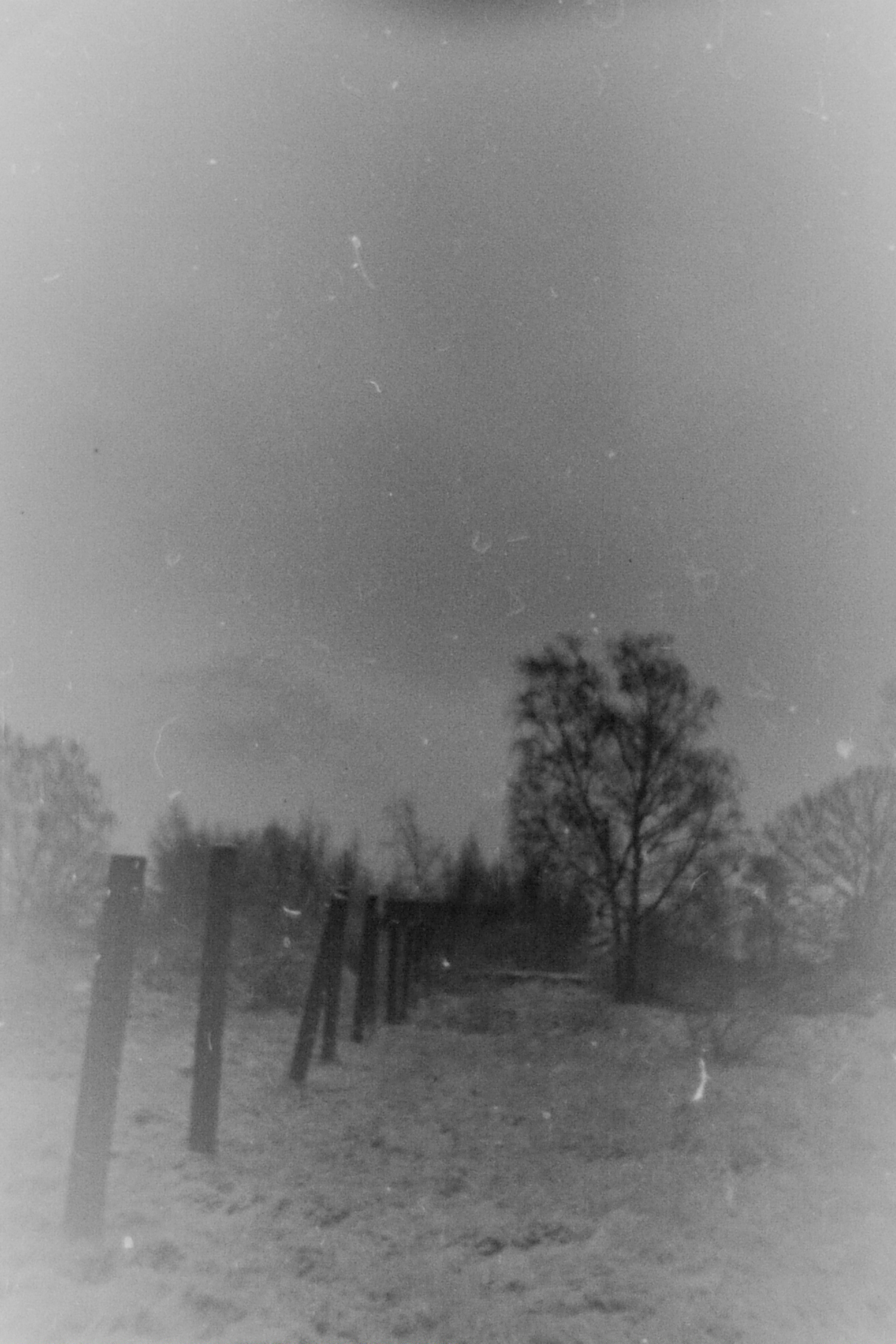 Инородное тело