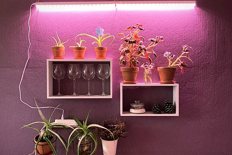 Выставка ''Черный ящик'' с 16 марта по 16 апреля 2021 года