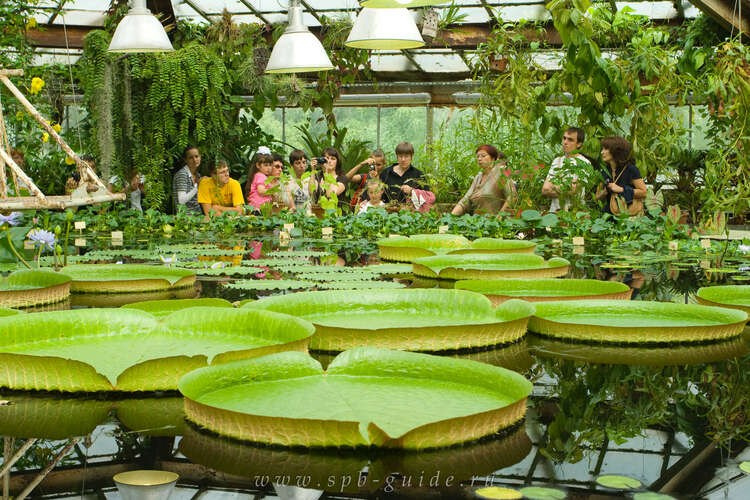 Гайд по местам для свадебной фотосессии. Свадебный и портретный фотограф