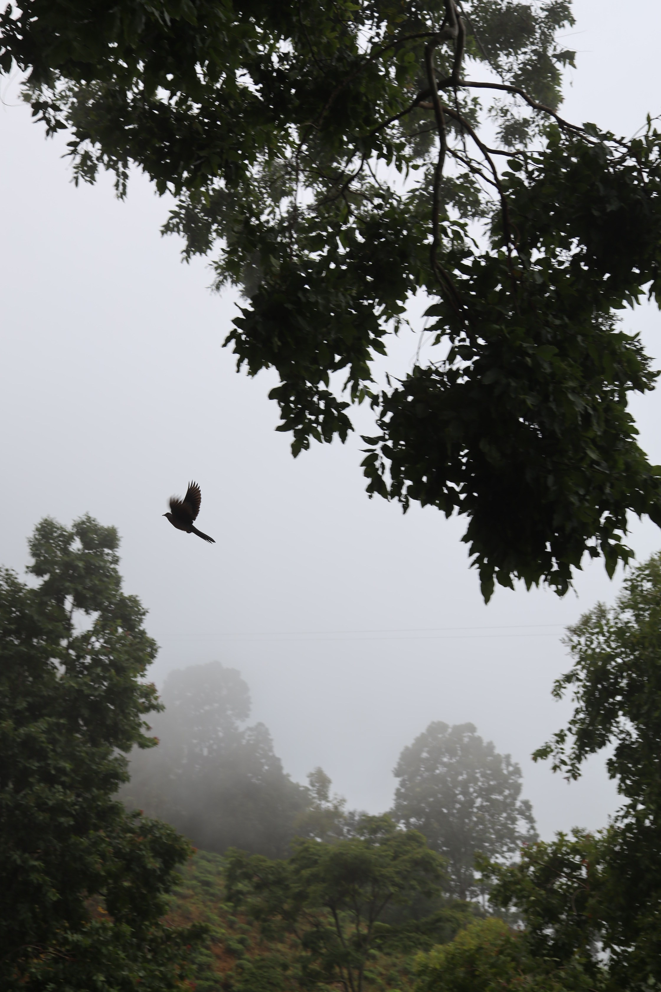 Контент фотограф Волгоград