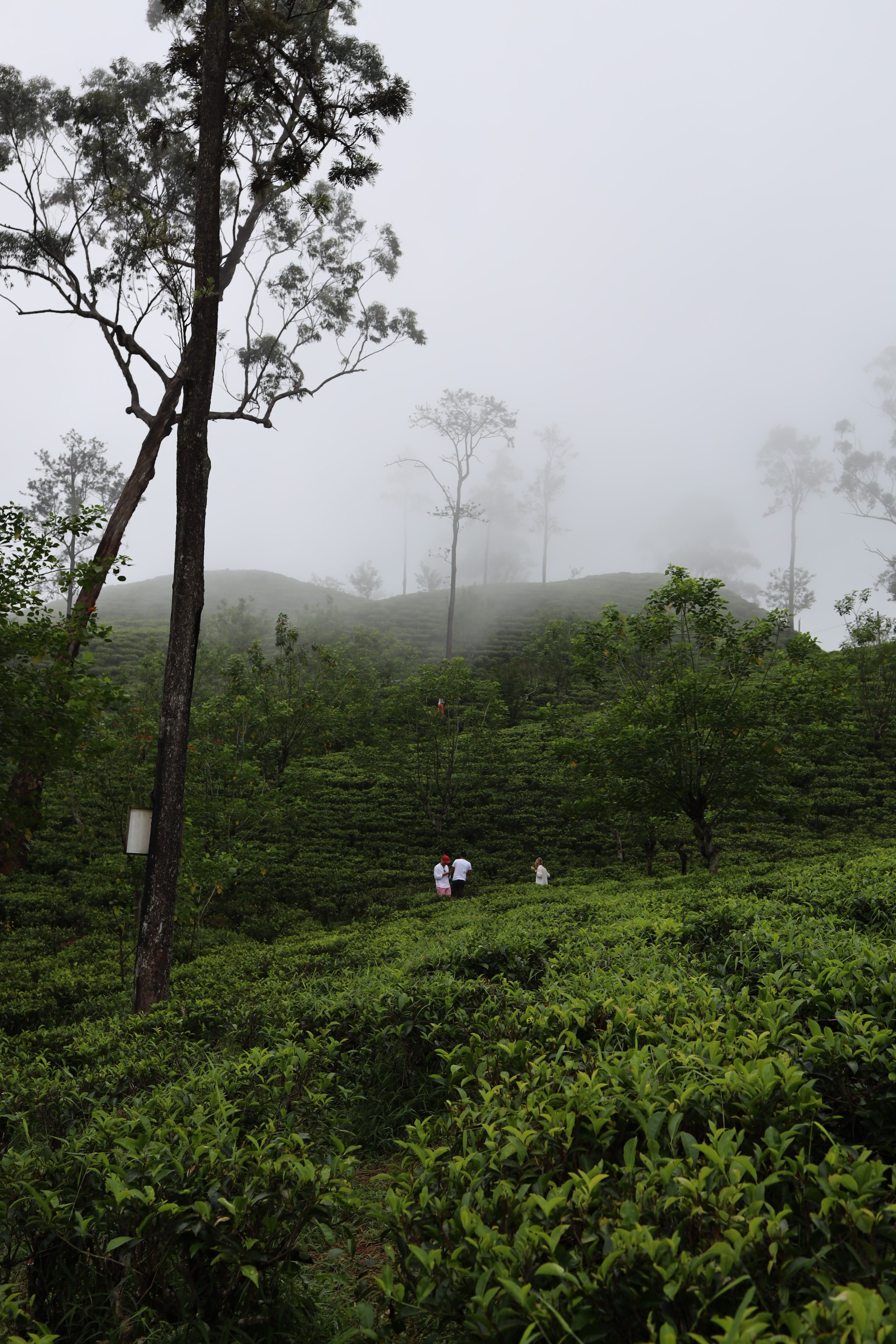 Контент фотограф Волгоград