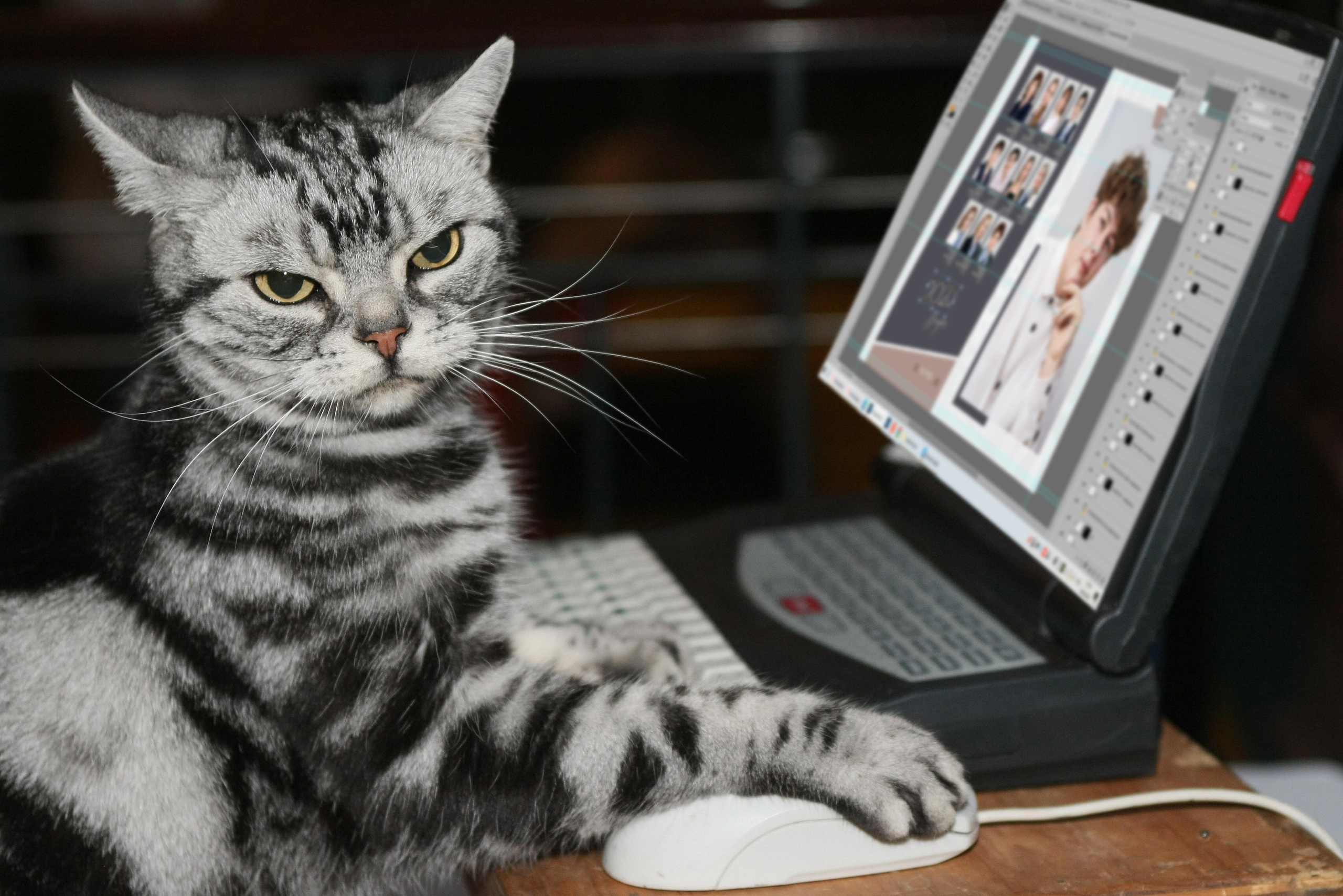 Наша команда. Фотостудия «Стрекоза»