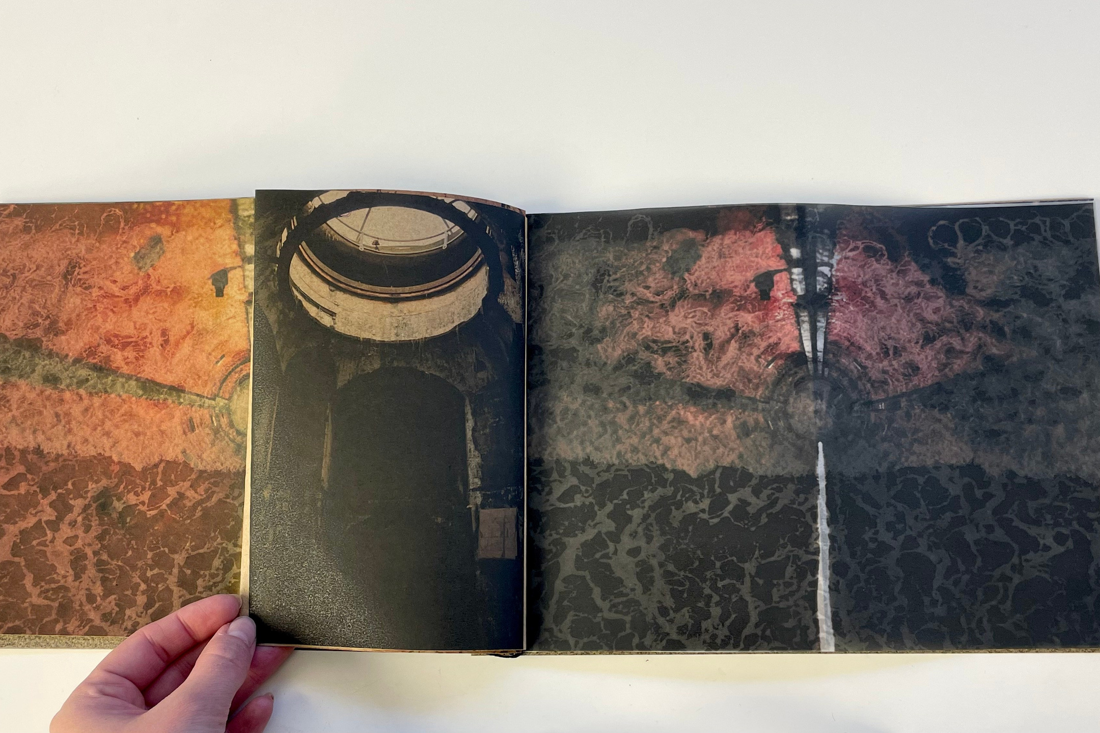 Издания. Катерина Эделева