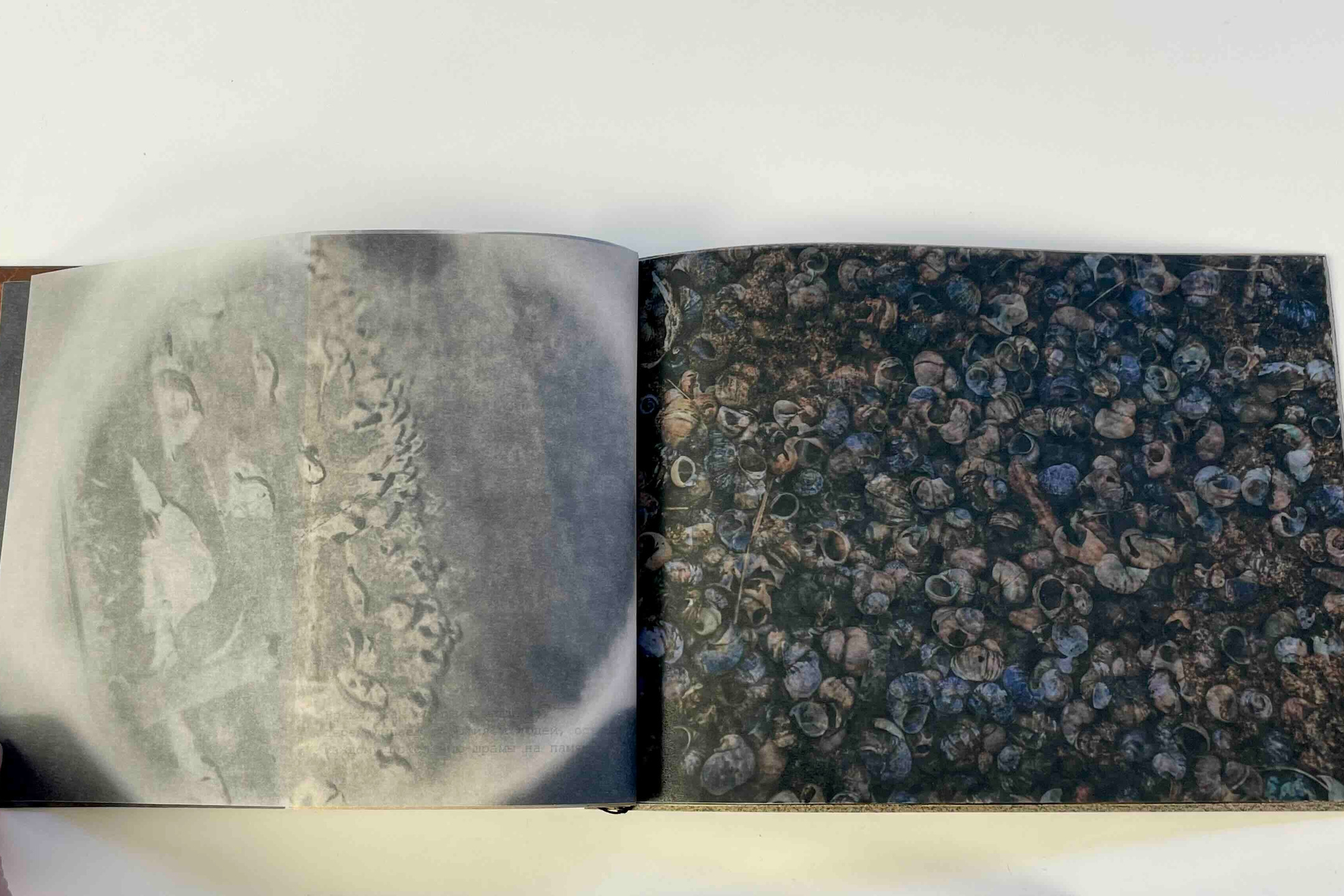 Интервью с Катериной Эдельвак. Private image