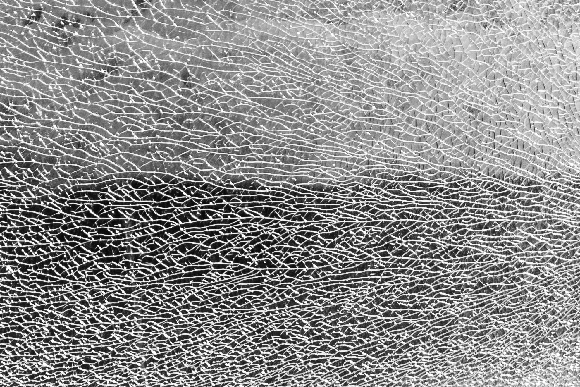 Фоточеллендж «30 дней — 30 фото». Олег Романов. Мастер фото по спорту