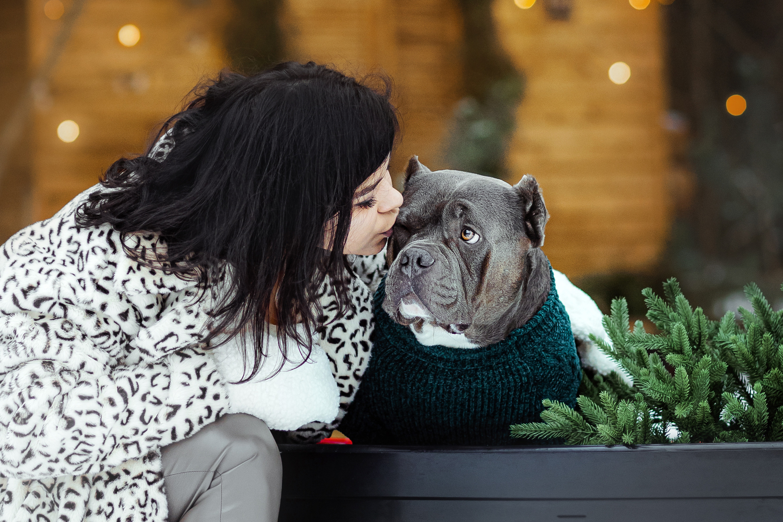 КАК ВЫБРАТЬ ФОТОАППАРАТ ДЛЯ СЪЕМКИ ЖИВОТНЫХ?