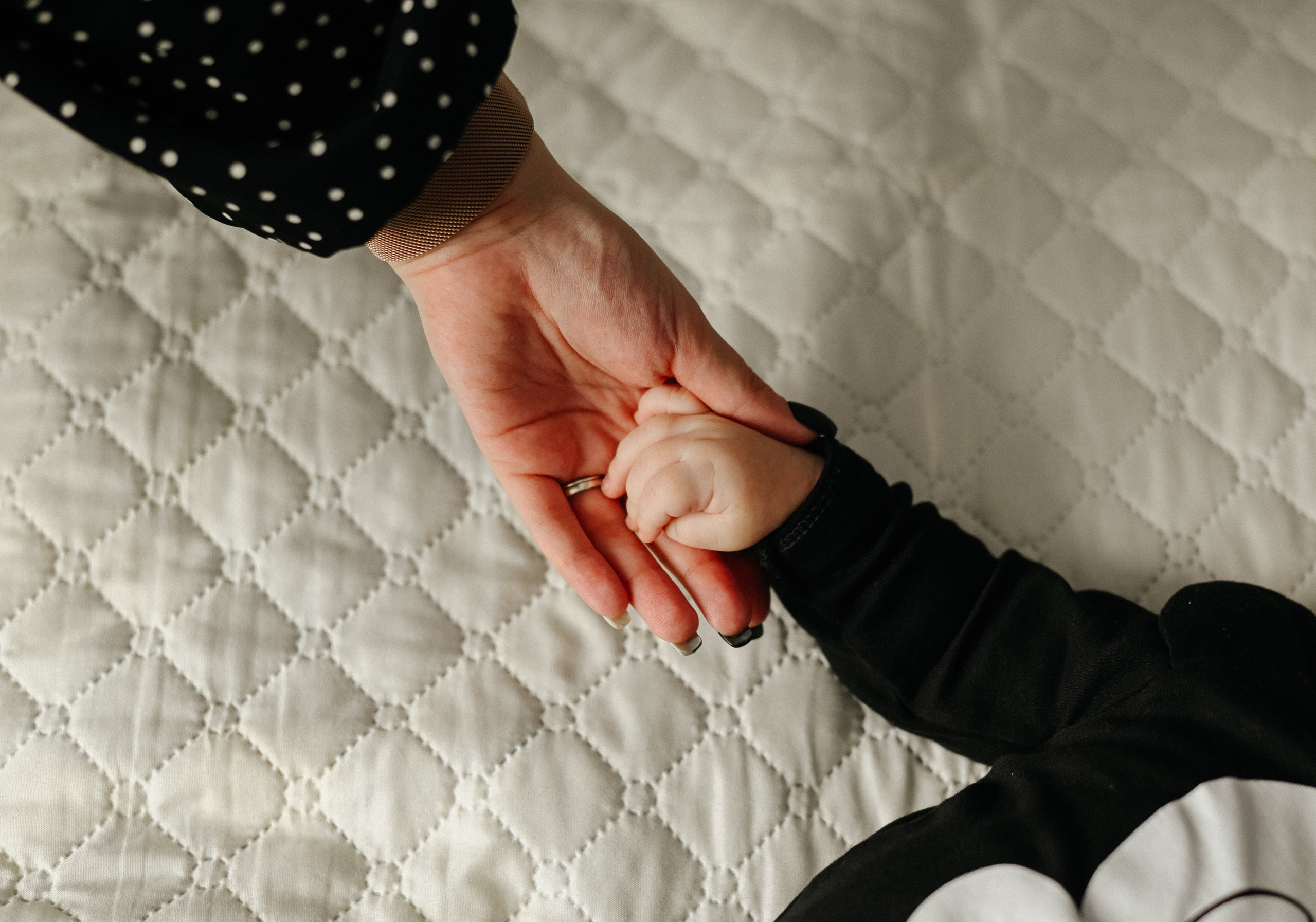 Годовое фотосопровождение. Свадебный, семейный и школьный фотограф в Бийске Ксения Мамаева