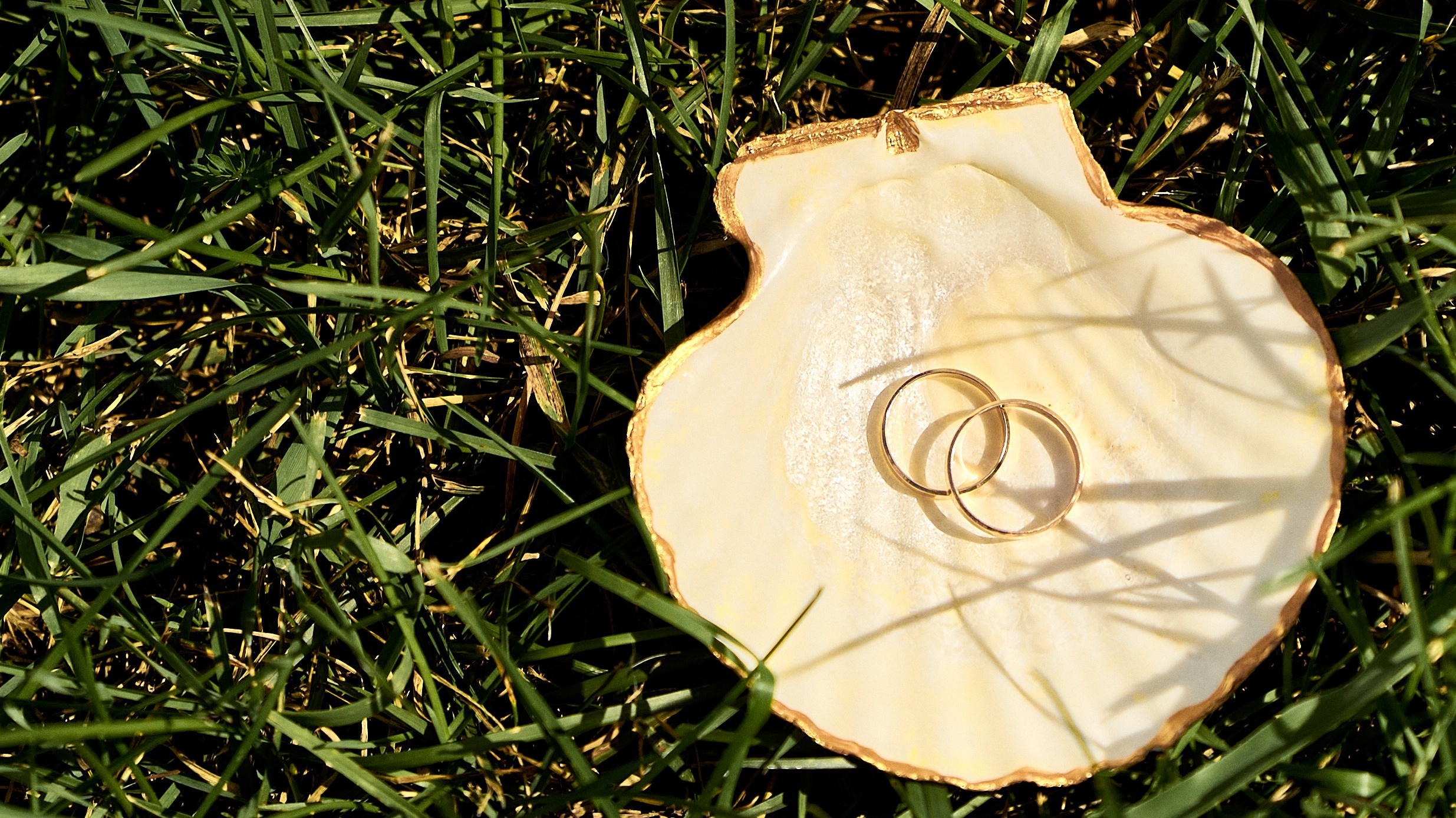 Контакты. Главная