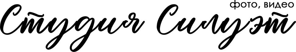 fssiluet.ru