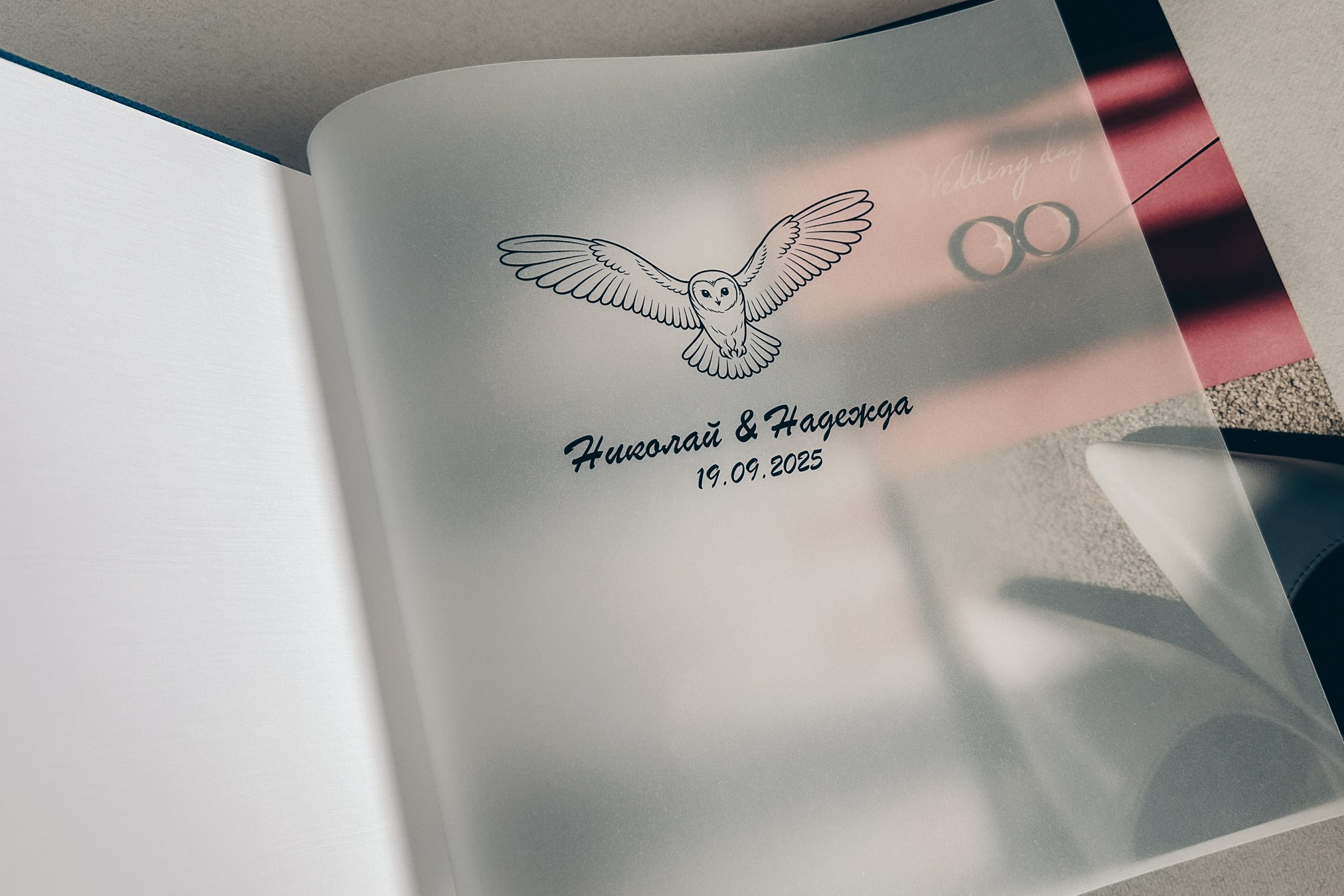 Портфолио. Семейный и детский фотограф в Омск Пугачева Елена