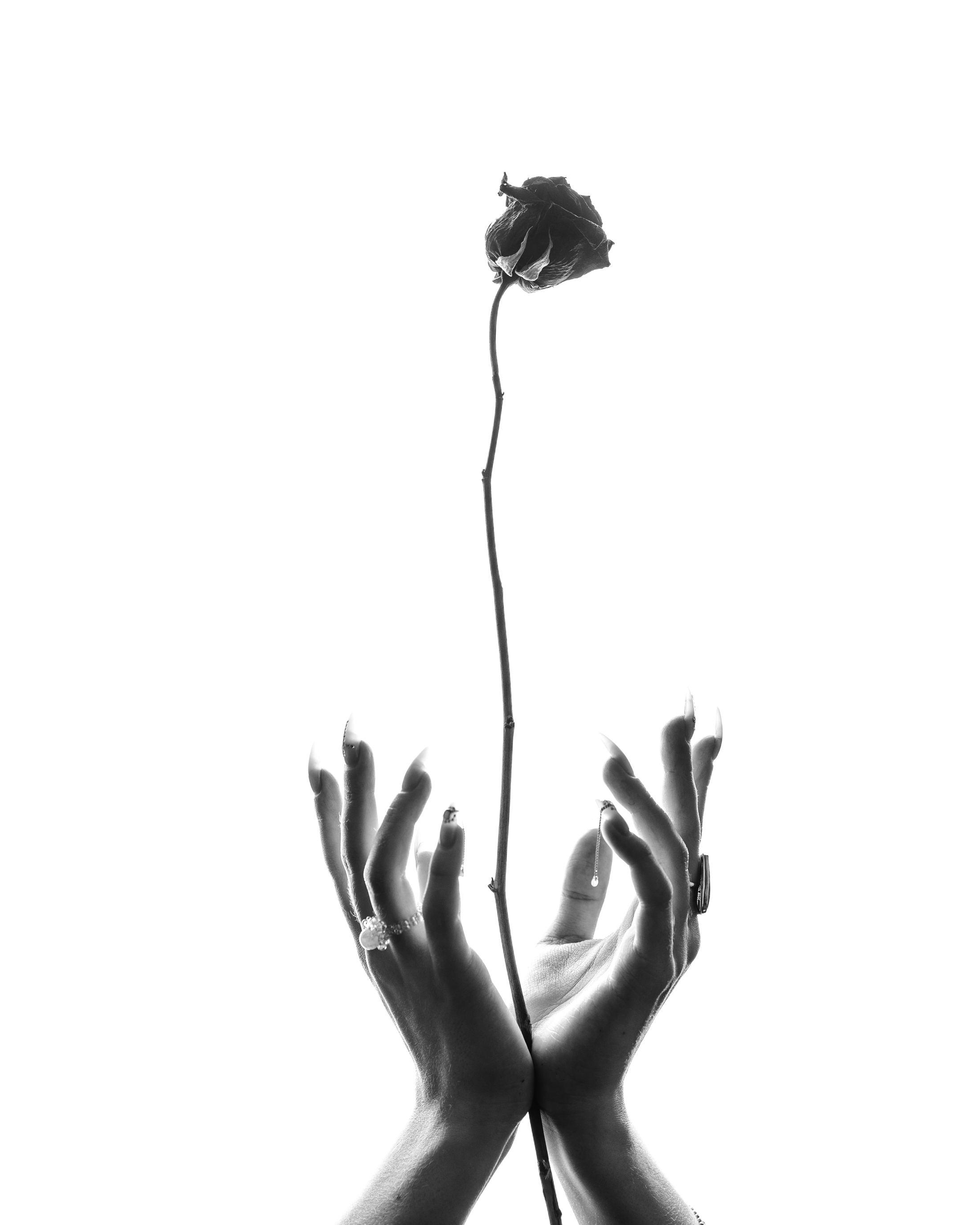 Фото и видео контент за одну съемку — Веретенников Егор