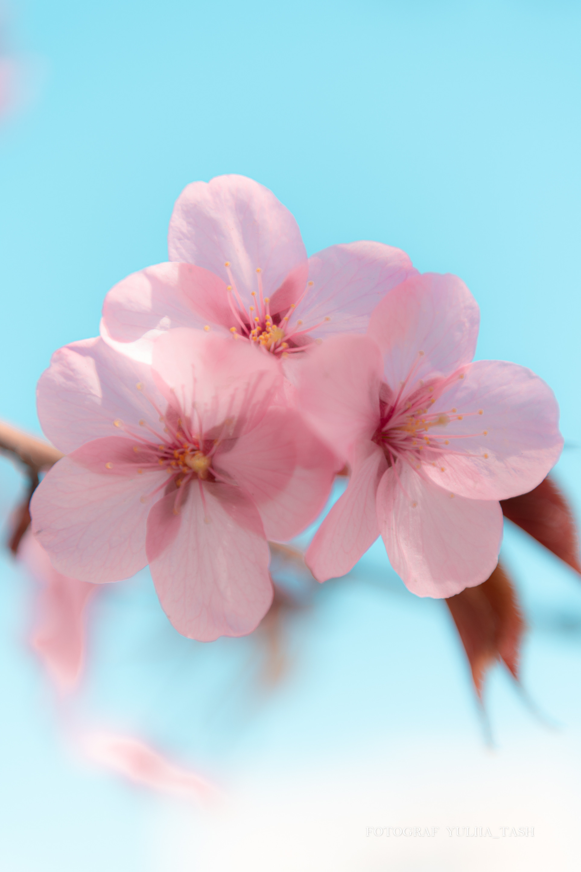 Пробуждение. Любимый фотограф