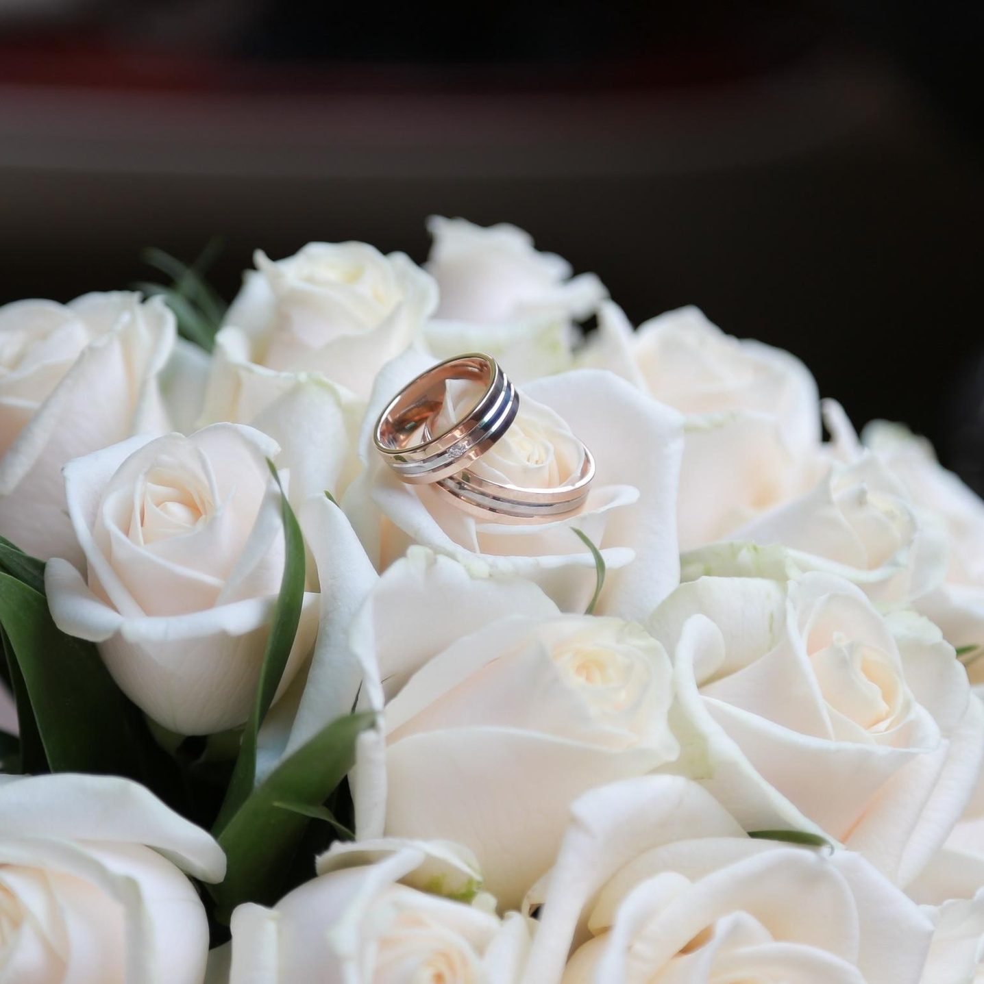 Фотосъёмка. «Студия DRONAVT`s» — видеосъёмка и фотография г. Москва