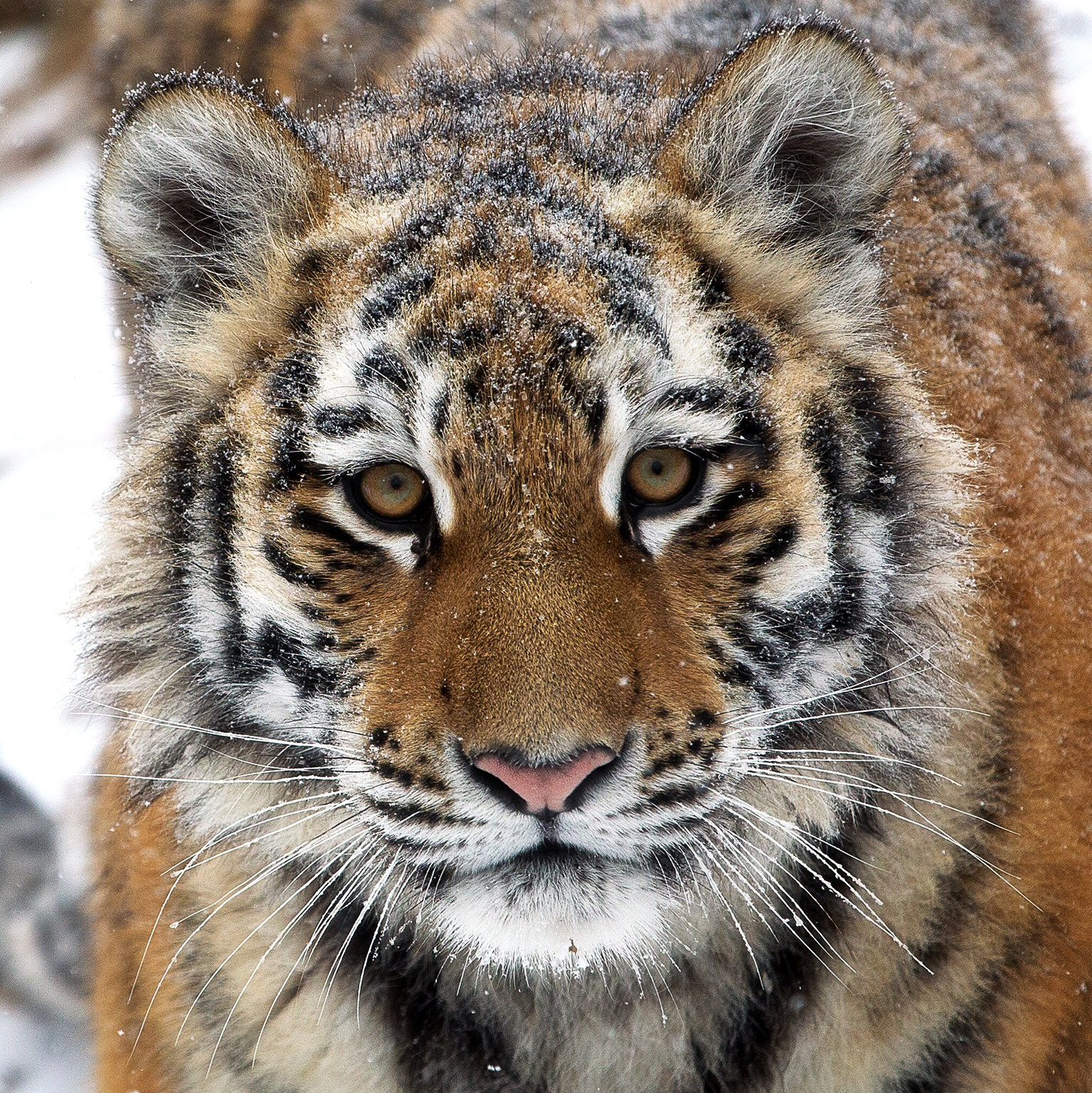 Фототур по Приморью. Фототуры и обучение пейзажной фотографии