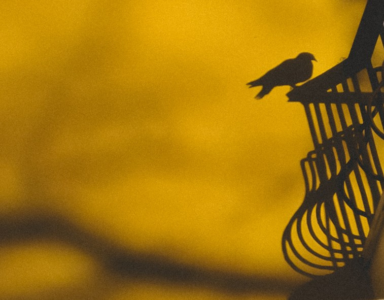 Gallery «OUT». Artista Nazarova. Universe strings singing