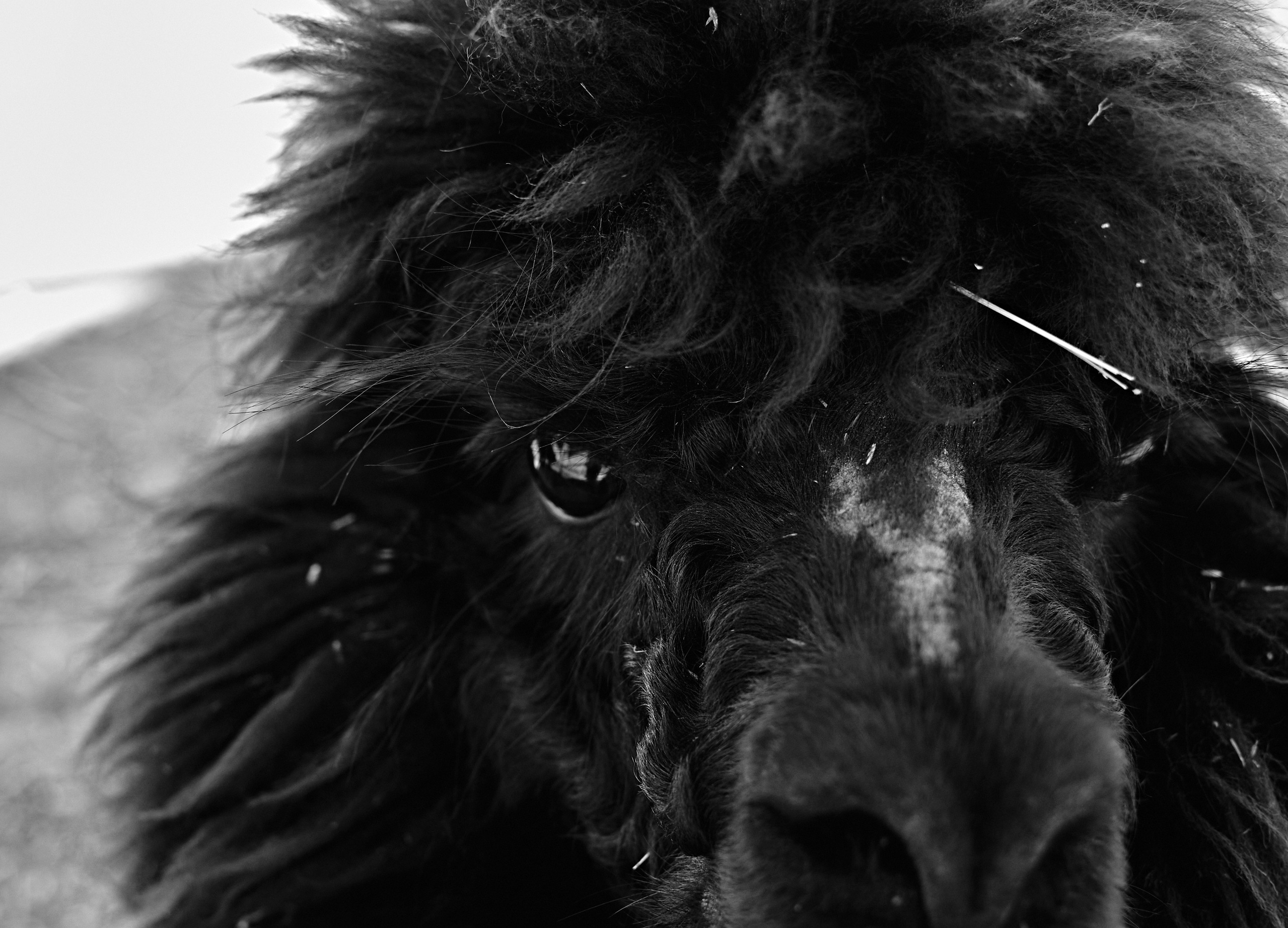 TRAVEL. EVGENYA PERESADOVA