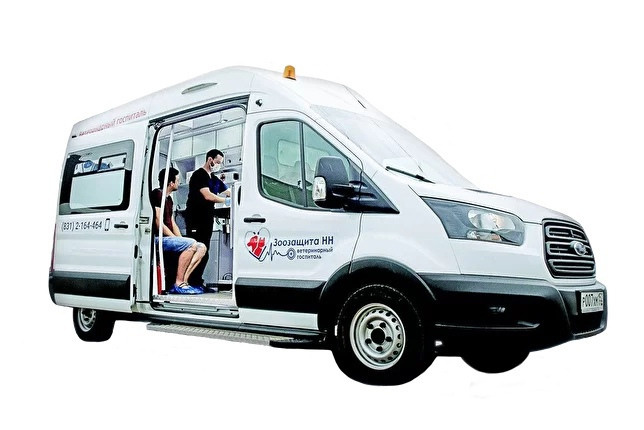 Третья выставка беспородных собак «Для дружбы не важна порода». НРОО КЦ "Собаковод"