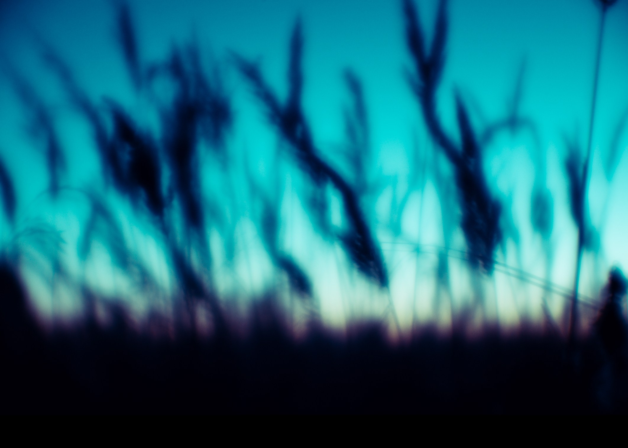 MINIMALISTIC LANDSCAPES. International visual artist